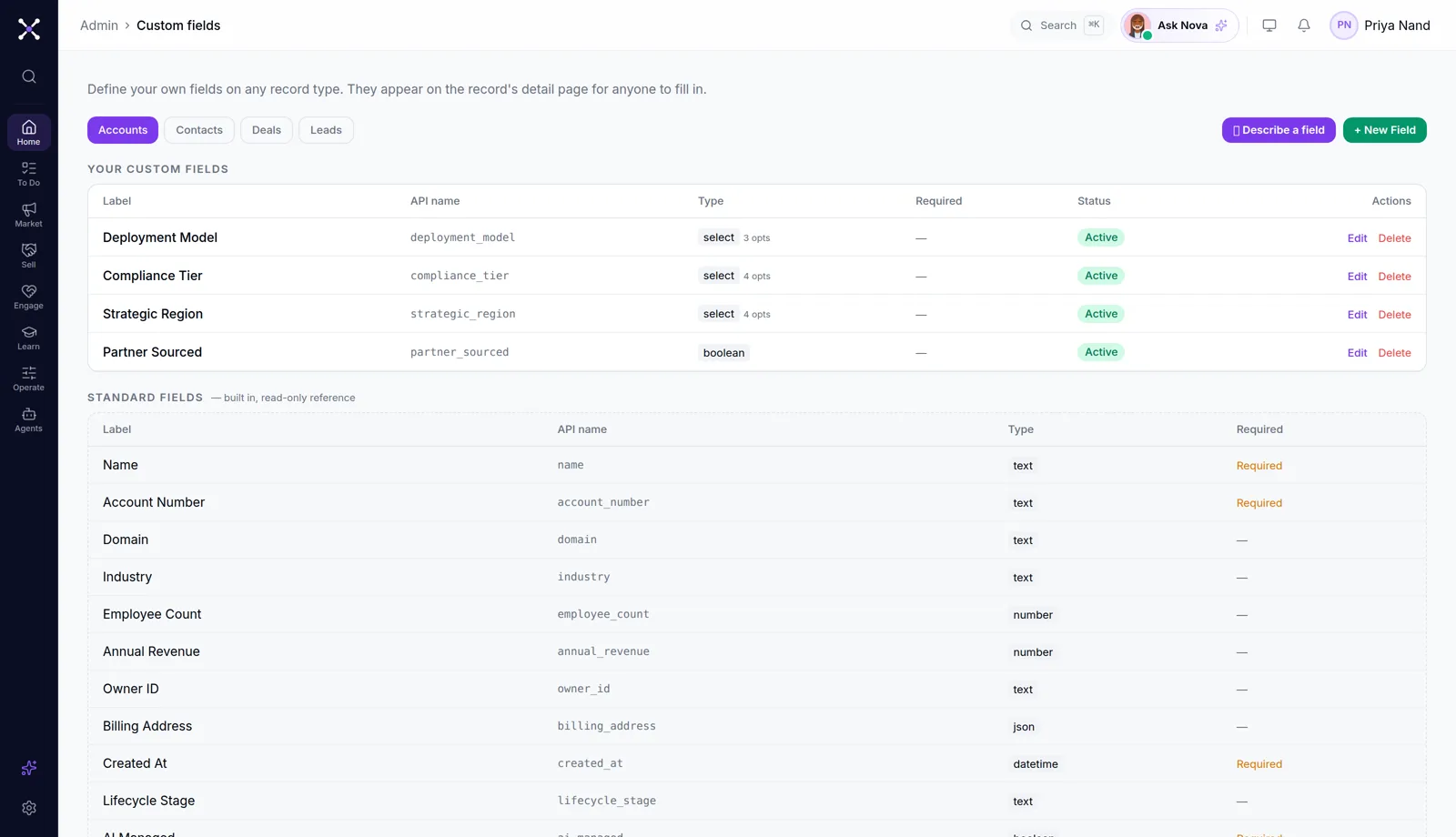 Custom fields admin: four custom account fields above the built-in standard schema, with an AI Describe-a-field button